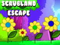                                                                       Scrubland Escape ﻞﯿﮭﮐ