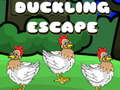                                                                       Duckling Escape ﻞﯿﮭﮐ