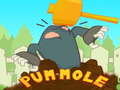                                                                       Pum-Mole ﻞﯿﮭﮐ