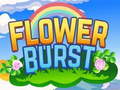                                                                       Flower Burst ﻞﯿﮭﮐ