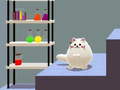                                                                       Schrödinger’s Dual Cat ﻞﯿﮭﮐ