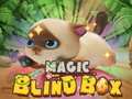                                                                       Magic Blind Box ﻞﯿﮭﮐ