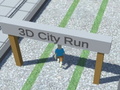                                                                       City Run 3D ﻞﯿﮭﮐ