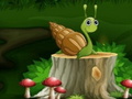                                                                       Snail  ﻞﯿﮭﮐ