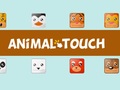                                                                       Animal Toush ﻞﯿﮭﮐ