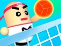                                                                       3D Amazing VolleyBall ﻞﯿﮭﮐ