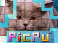                                                                       PicPu Cat  ﻞﯿﮭﮐ