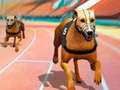                                                                       Dogs3D Races ﻞﯿﮭﮐ