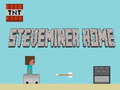                                                                       Steveminer Home ﻞﯿﮭﮐ