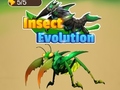                                                                       Insect Evolution ﻞﯿﮭﮐ