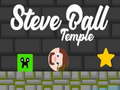                                                                       Steve Ball Temple ﻞﯿﮭﮐ