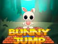                                                                       Bunny Jump ﻞﯿﮭﮐ