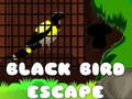                                                                       Black Bird Escape ﻞﯿﮭﮐ