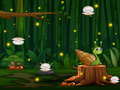                                                                       Snail Run ﻞﯿﮭﮐ