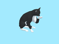                                                                       Cat Escape ﻞﯿﮭﮐ