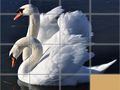                                                                       Animals Slide Puzzle ﻞﯿﮭﮐ