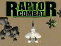                                                                       Raptor Combat ﻞﯿﮭﮐ