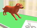                                                                      Pet Care ﻞﯿﮭﮐ