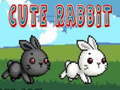                                                                       Cute Rabbit ﻞﯿﮭﮐ
