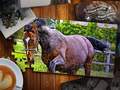                                                                       Jigsaw Puzzle Horses Edition ﻞﯿﮭﮐ