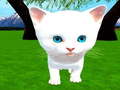                                                                       Cutie cat ﻞﯿﮭﮐ