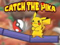                                                                       Catch the Pika ﻞﯿﮭﮐ