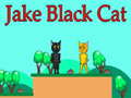                                                                      Jake Black Cat ﻞﯿﮭﮐ