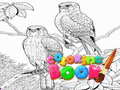                                                                       Coloring Book for Adults ﻞﯿﮭﮐ