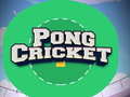                                                                       Pong Cricket ﻞﯿﮭﮐ