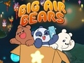                                                                       Big Air Bears ﻞﯿﮭﮐ
