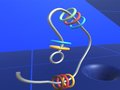                                                                       Make Rings Off  ﻞﯿﮭﮐ