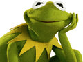                                                                       Coloring Book For Kermit the Frog  ﻞﯿﮭﮐ