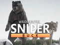                                                                       Wild Hunter sniper buck ﻞﯿﮭﮐ