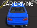                                                                       Car Driving ﻞﯿﮭﮐ