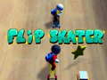                                                                       Flip Skater ﻞﯿﮭﮐ