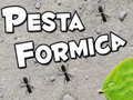                                                                       Pesta Formica ﻞﯿﮭﮐ