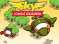                                                                       Sky Combat Squardom ﻞﯿﮭﮐ
