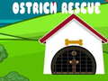                                                                       Ostrich Rescue ﻞﯿﮭﮐ