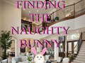                                                                       Finding The Naughty Bunny ﻞﯿﮭﮐ