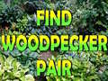                                                                       Find Woodpecker Pair  ﻞﯿﮭﮐ