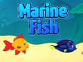                                                                       Marine Fish ﻞﯿﮭﮐ
