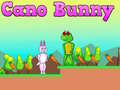                                                                       Cano Bunny ﻞﯿﮭﮐ