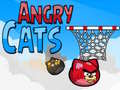                                                                       Angry Cats ﻞﯿﮭﮐ