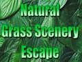                                                                       Natural Grass Scenery Escape ﻞﯿﮭﮐ