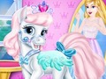                                                                       Fashion Pet Salon ﻞﯿﮭﮐ