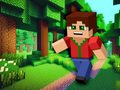                                                                       Minicraft ﻞﯿﮭﮐ