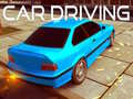                                                                       Car Driving ﻞﯿﮭﮐ