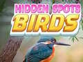                                                                       Hidden Spots Birds ﻞﯿﮭﮐ