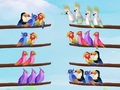                                                                       Bird Sort Puzzle ﻞﯿﮭﮐ