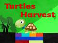                                                                       Turtles Harvest ﻞﯿﮭﮐ